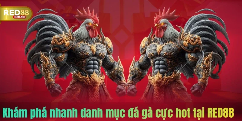 Khám phá nhanh danh mục đá gà cực hot tại RED88